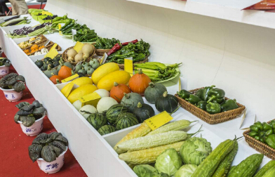 又一波關(guān)稅下調(diào)來襲食品進口報關(guān)迎來新機遇